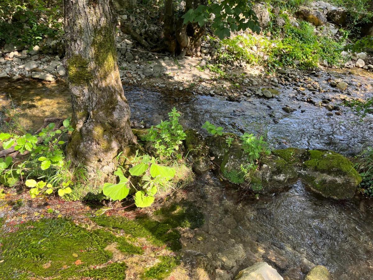 Soko Holiday Home Bihać Dış mekan fotoğraf