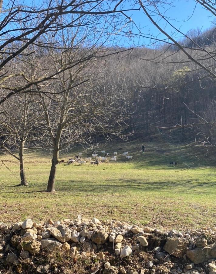Soko Holiday Home Bihać Dış mekan fotoğraf
