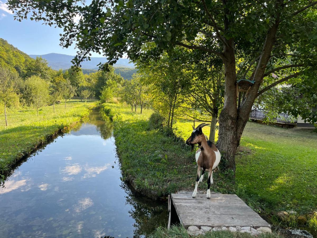 Soko Holiday Home Bihać Dış mekan fotoğraf